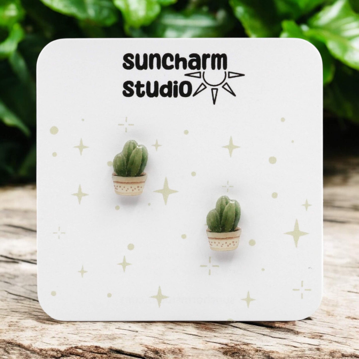 Potted Cactus Earrings